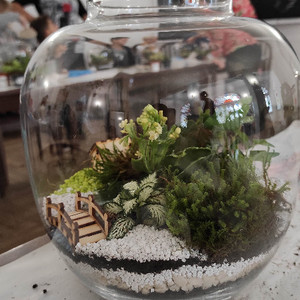 Dzień Pluszowego Misia III edycja – Tajemnice lasu - zakończenie