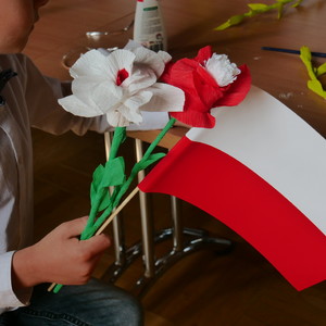 flaga i kwiat biało czerwony