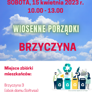 plakat wiosenne porządki