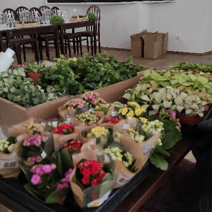 Dzień Pluszowego Misia III edycja – Tajemnice lasu - zakończenie