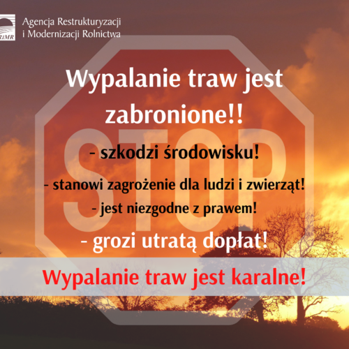 Obraz główny aktualności o tytule ARiMR przypomina: wypalanie traw jest karalne 