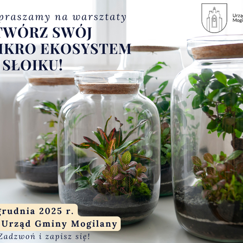Obraz główny aktualności o tytule Mikołajkowe warsztaty z Ekodoradcami 