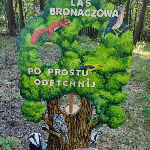 Obraz główny aktualności o tytule LAS BRONACZOWA. Po prostu odetchnij! 