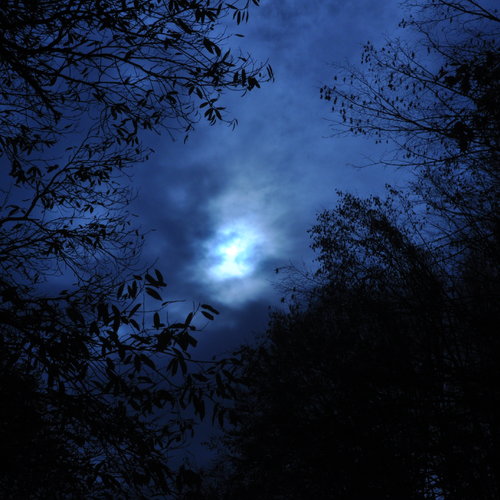 Obraz główny aktualności o tytule Zaćmienie Słońca 2022 - TVP Nauka z Parku w Mogilanach! 