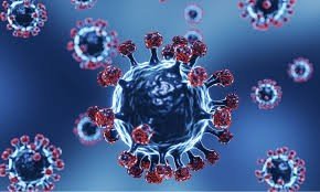 Obraz główny aktualności o tytule Informacja w zakresie działań edukacyjnych na rzecz zapobiegania zakażeniom RSV wśród mieszkańców powyżej 60 roku życia 