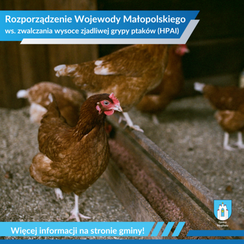 Obraz główny aktualności o tytule Rozporządzenie w sprawie zwalczania wysoce zjadliwej grypy ptaków (HPAI) na terenie powiatu myślenickiego, krakowskiego, wielickiego i Miasta Krakowa z dnia 20.02.2025 