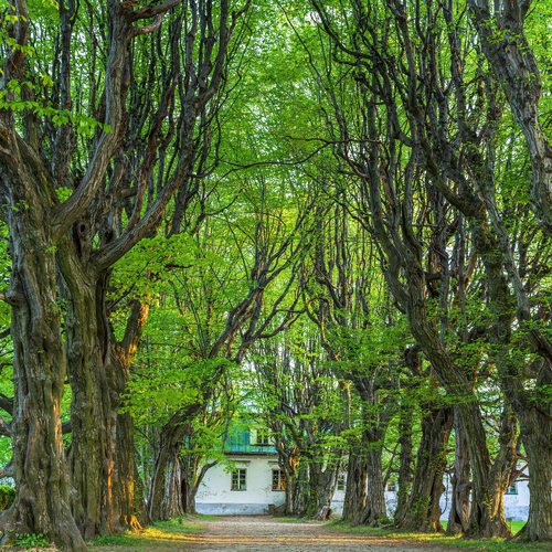 Obraz główny aktualności o tytule Turystyczne Skarby Małopolski 