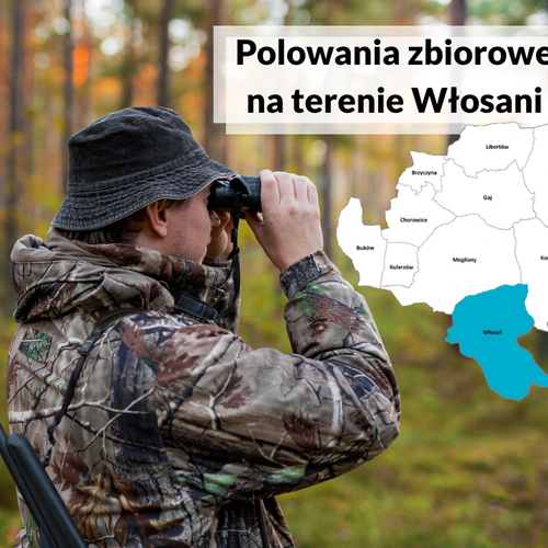 Obraz główny aktualności o tytule Informacja w sprawie planowanych zbiorowych polowań na terenie miejscowości Włosań 