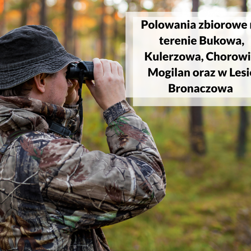 Obraz główny aktualności o tytule Informacja w sprawie zbiorowych polowań na terenie miejscowości: Buków, Kulerzów, Chorowice oraz Mogilany 