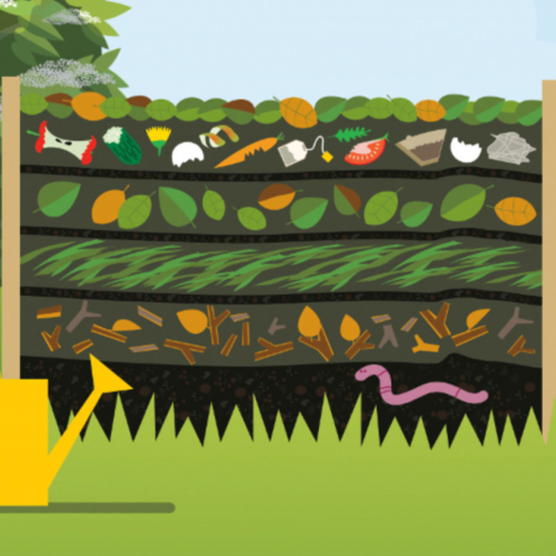 Obraz główny aktualności o tytule Kontrola przydomowych kompostowników 