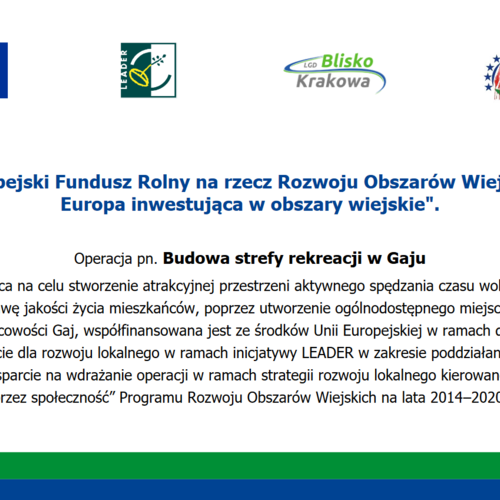 Obraz główny aktualności o tytule BUDOWA STREFY REKREACJI W GAJU – UMOWA PODPISANA 