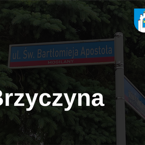 Obraz główny aktualności o tytule INFORMACJA O UDOSTĘPNIENIU DO PUBLICZNEGO WGLĄDU PROJEKTU PRZEBIEGU                             I NAZEWNICTWA ULIC W MIEJSCOWOŚCI BRZYCZYNA 