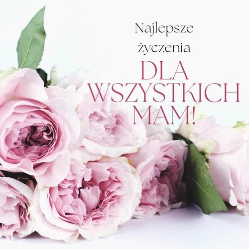 Obraz główny aktualności o tytule Wszystkim Mamom składamy najserdeczniejsze życzenia! 