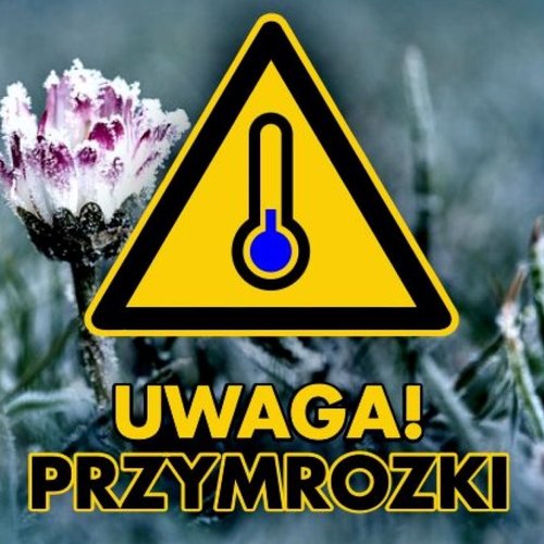Obraz główny aktualności o tytule OSTRZEŻENIE METEO - PRZYMROZKI 12-13 maj 2025 r. 