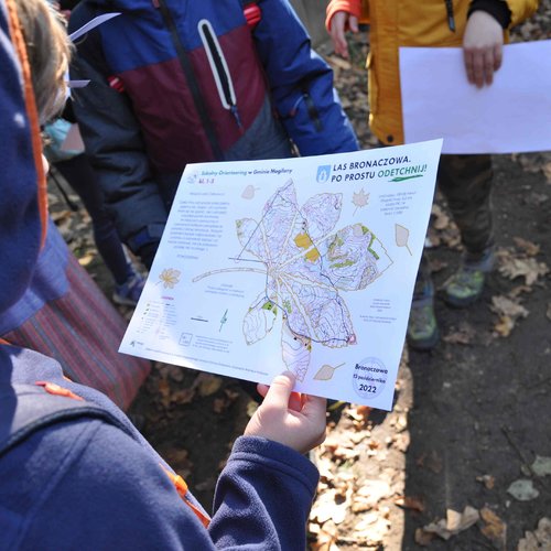 Obraz główny aktualności o tytule Finał: LAS BRONACZOWA. Po prostu odetchnij! 